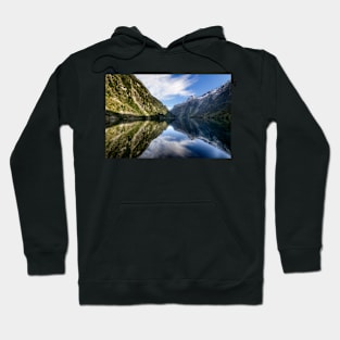 Doubtful Sound 2 Hoodie